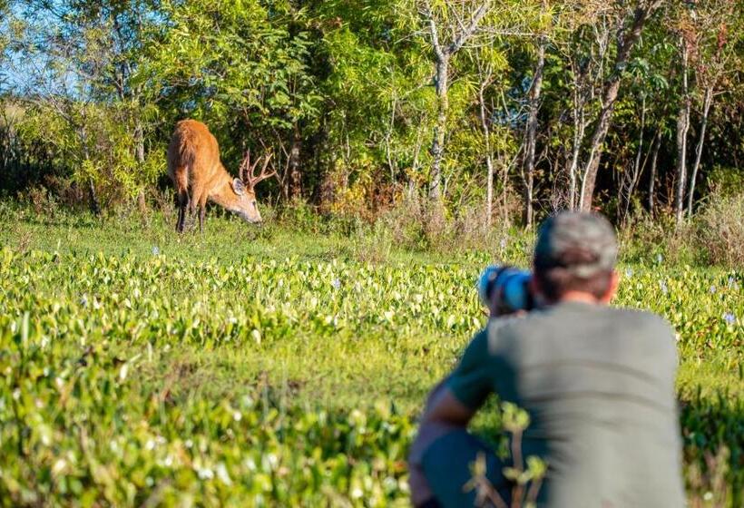 Puerto Valle Hotel De Esteros