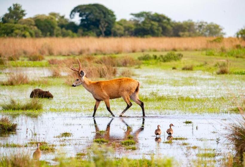 Puerto Valle Hotel De Esteros