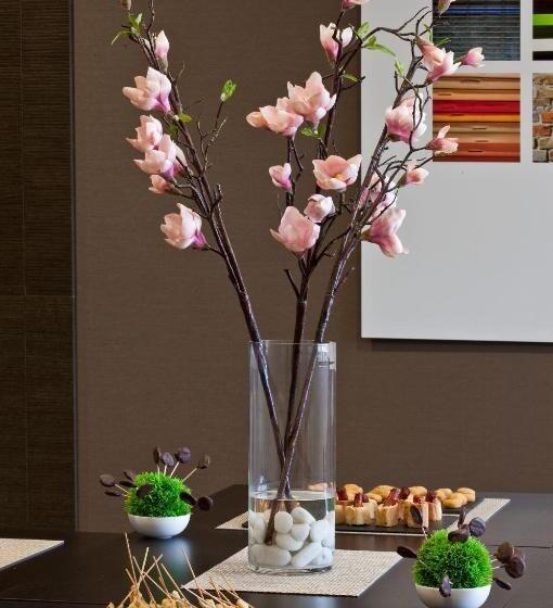 Sercotel Hola Tafalla