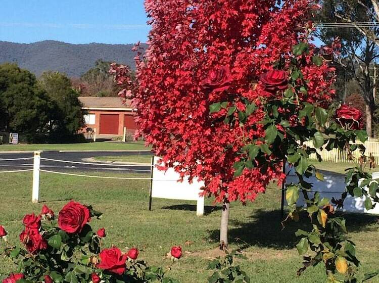 Tumut Valley Motel