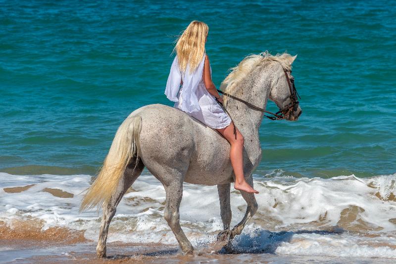 هتل Casa Joseph Zicatela   Adults Only