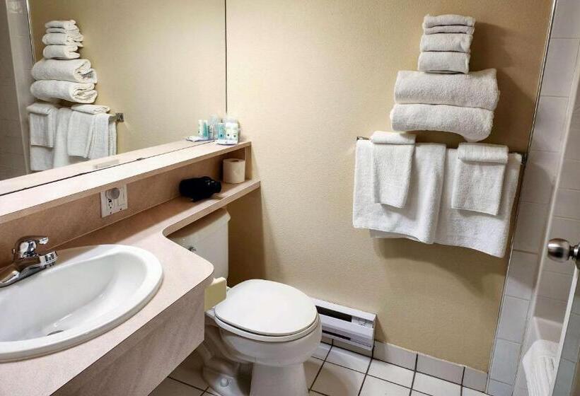 בית מלון כפרי Quality Inn & Suites