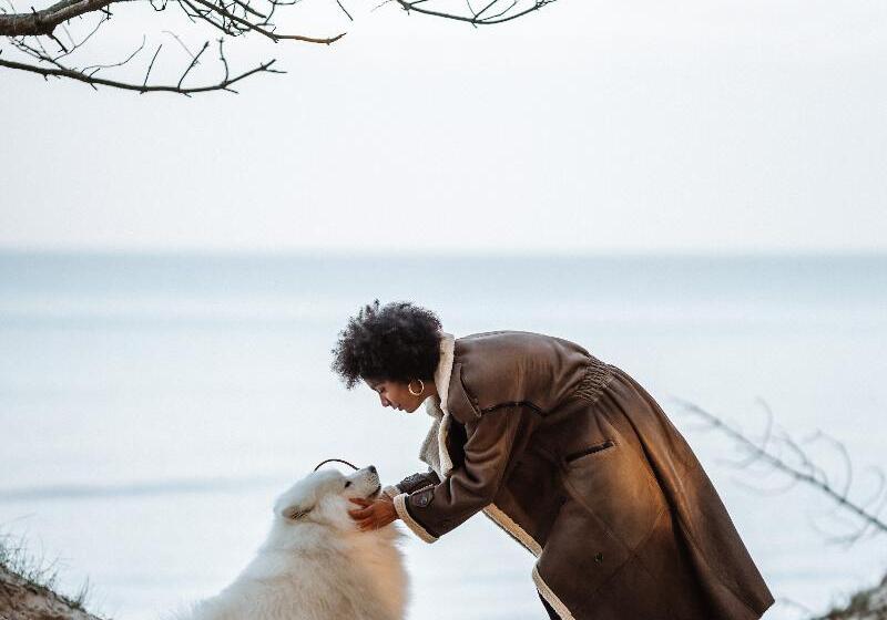 هتل Saltic Resort & Spa łeba