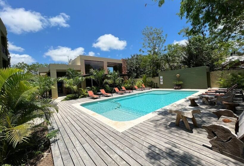 Lol Ha Hotel Boutique