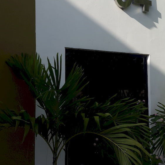 مبيت وإفطار Mediterranean Dreams San Francisco