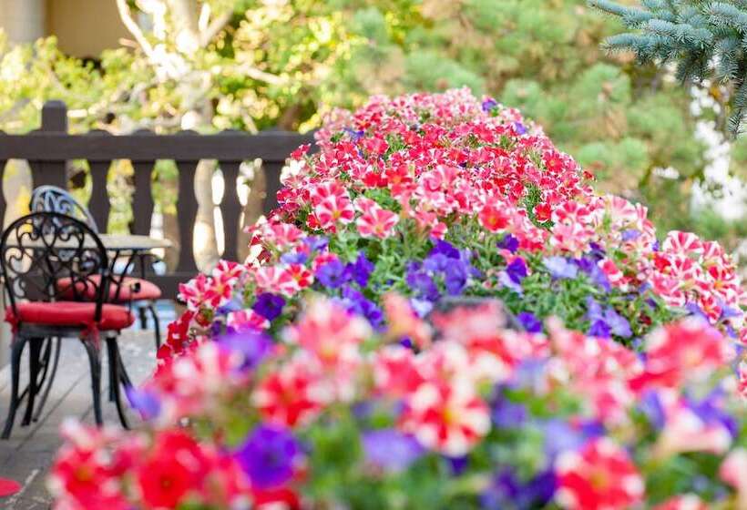 בית מלון כפרי Bavarian Inn, Black Hills