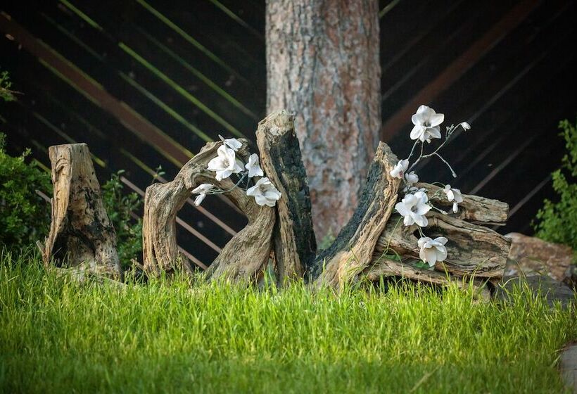 בית מלון כפרי Bavarian Inn, Black Hills