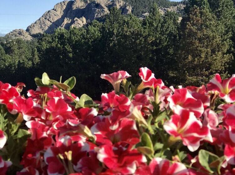 בית מלון כפרי Bavarian Inn, Black Hills