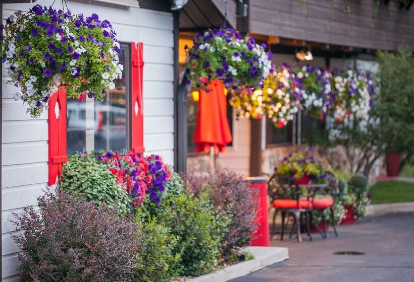 בית מלון כפרי Bavarian Inn, Black Hills