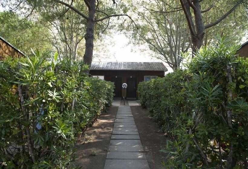 酒店 New Camping Le Tamerici