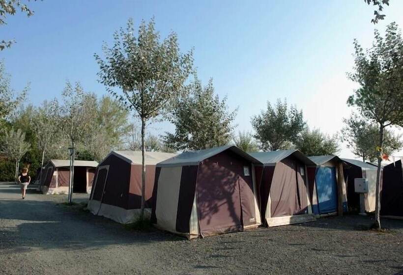 酒店 New Camping Le Tamerici