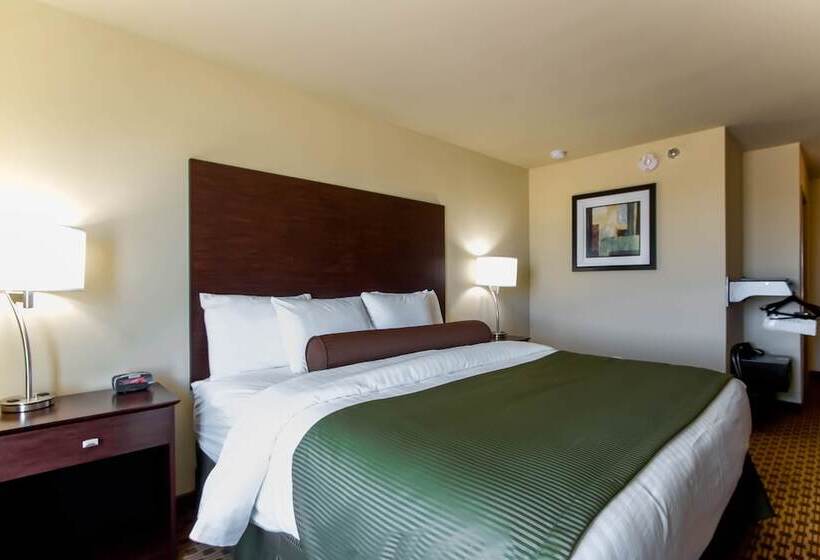 בית מלון כפרי Cobblestone Inn & Suites   Eads