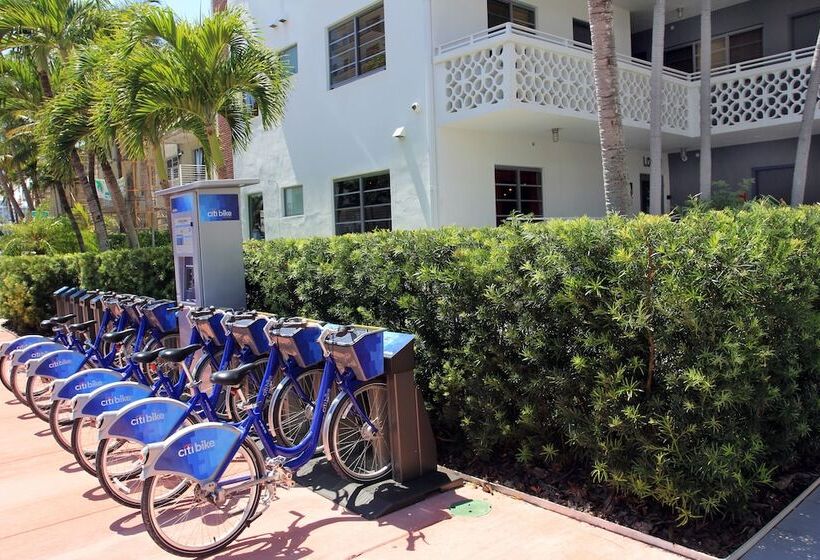 Gaythering   Gay Hotel   All Adults Welcome