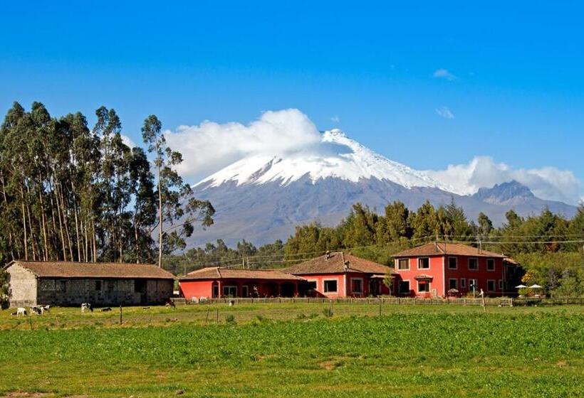 Отель Hacienda Hato Verde