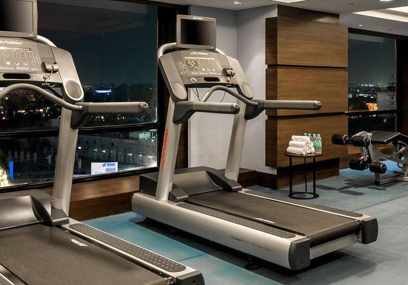 فندق Hyatt Raipur