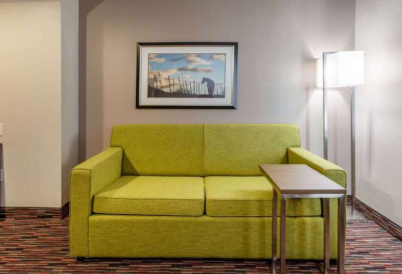 فندق La Quinta By Wyndham Wichita Falls   Msu Area