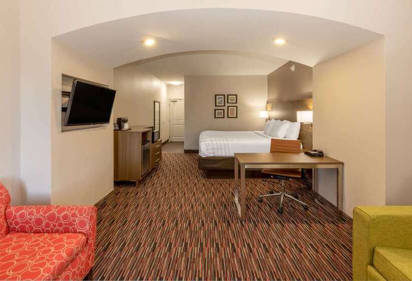 فندق La Quinta By Wyndham Wichita Falls   Msu Area