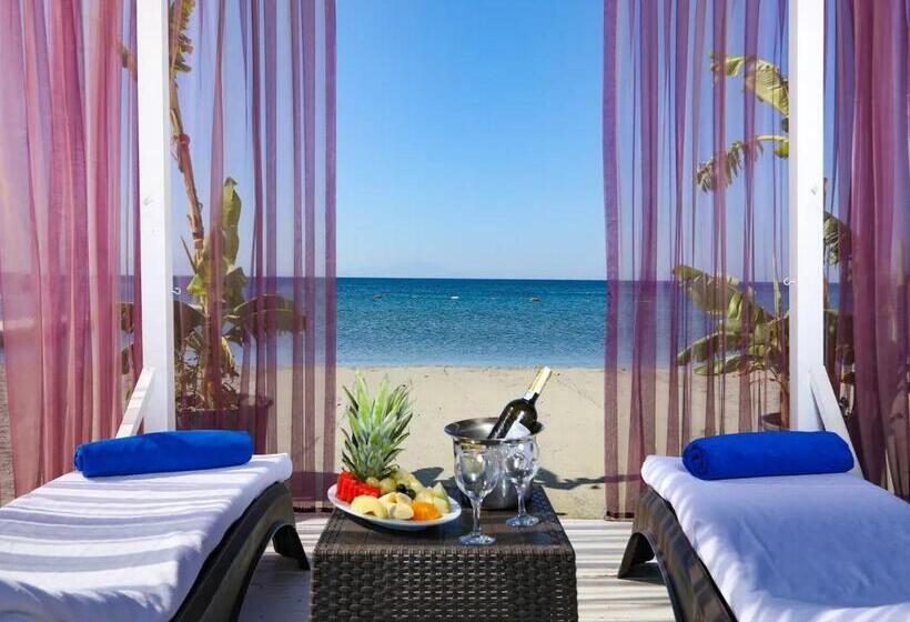 ホテル Labranda Lebedos Princess - All Inclusive