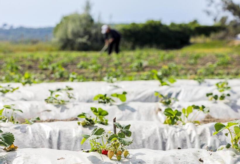 ホテル Labranda Lebedos Princess - All Inclusive