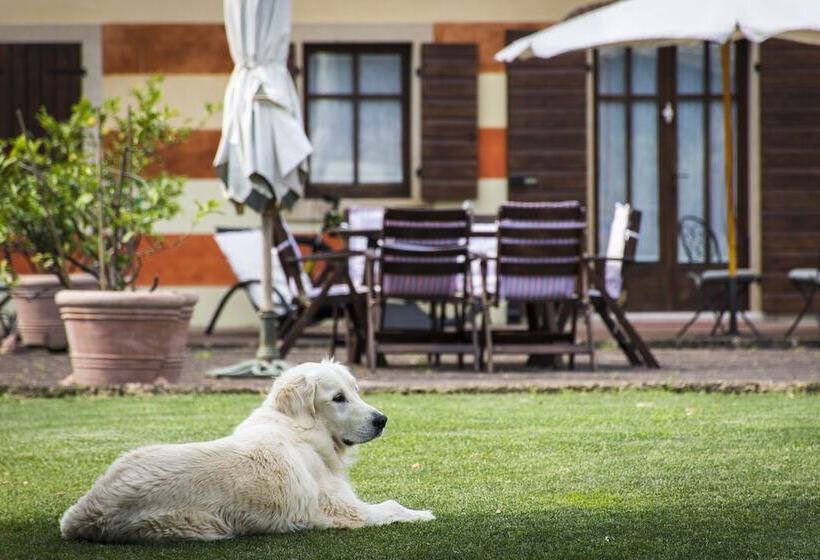 ホテル Musella Winery & Relais