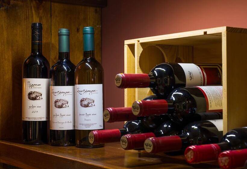 酒店 Pirrion Wellness Boutique