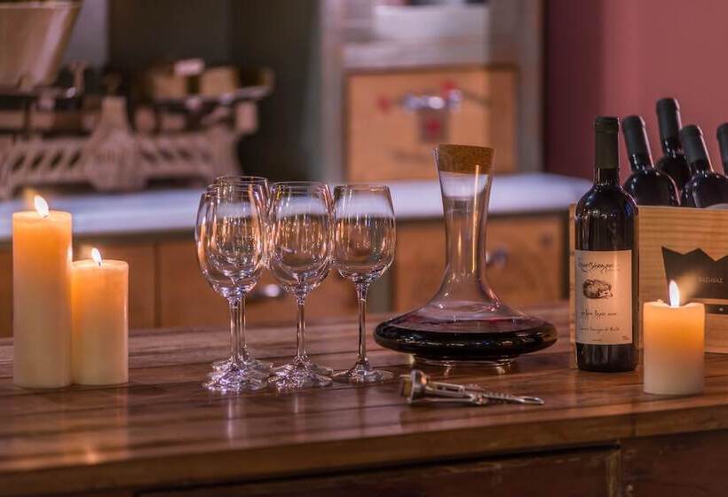 酒店 Pirrion Wellness Boutique