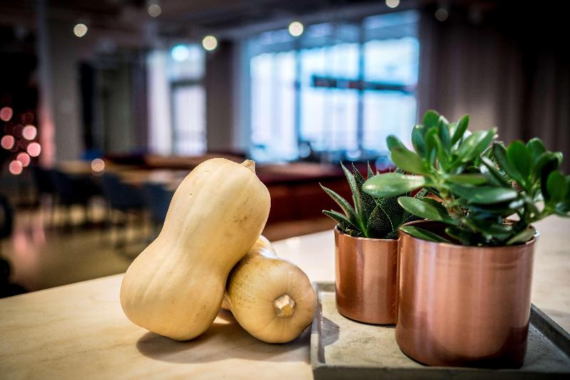 فندق Scandic No 53