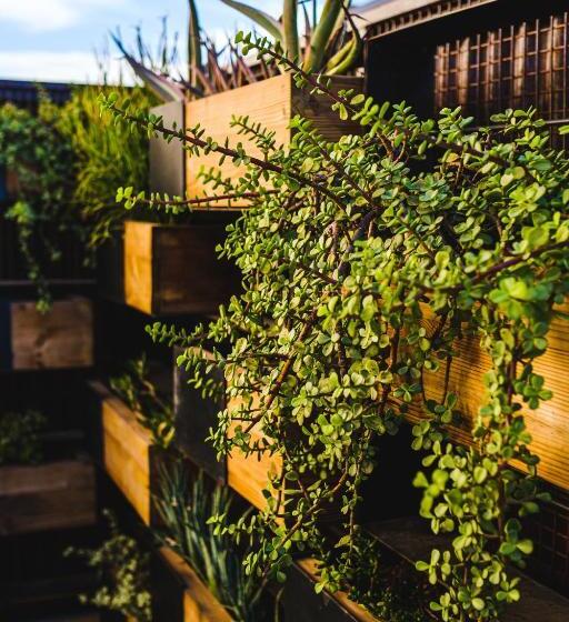 Отель Voco The Tuxon, An Ihg