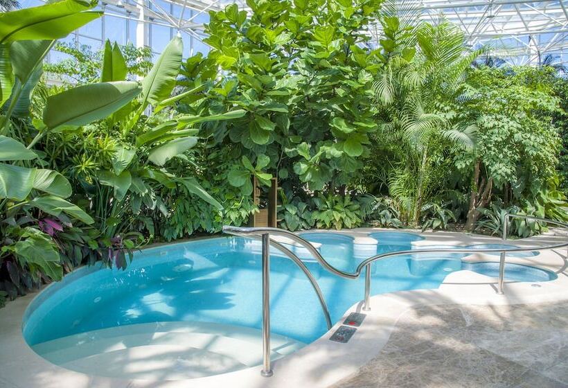 酒店 Tianjin Jing Ji Saint Light Resort & Spa