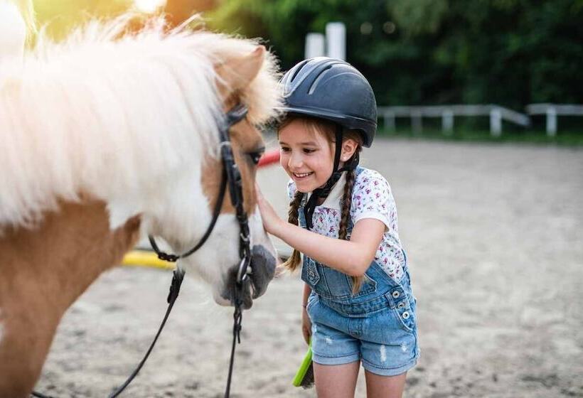 בית מלון כפרי Volito Rural Experience