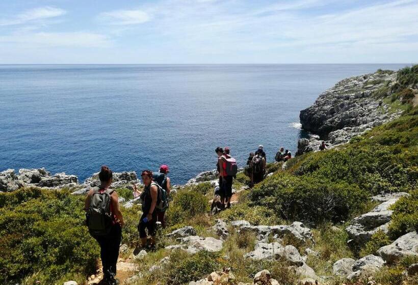 בית מלון כפרי Volito Rural Experience