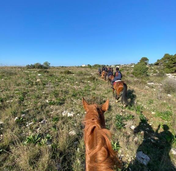 酒店 Volito Rural Experience