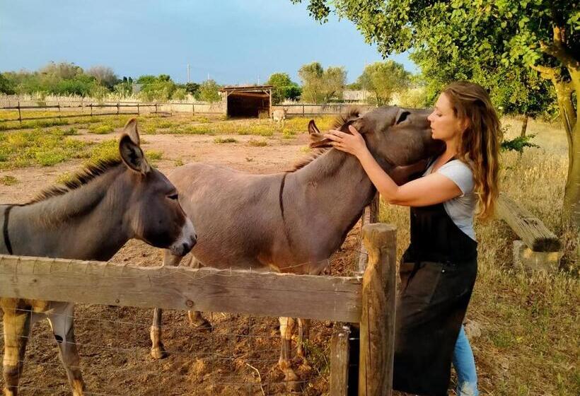 בית מלון כפרי Volito Rural Experience