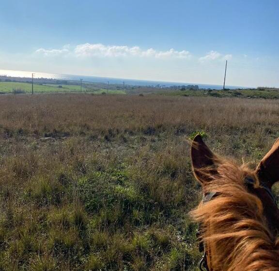 בית מלון כפרי Volito Rural Experience