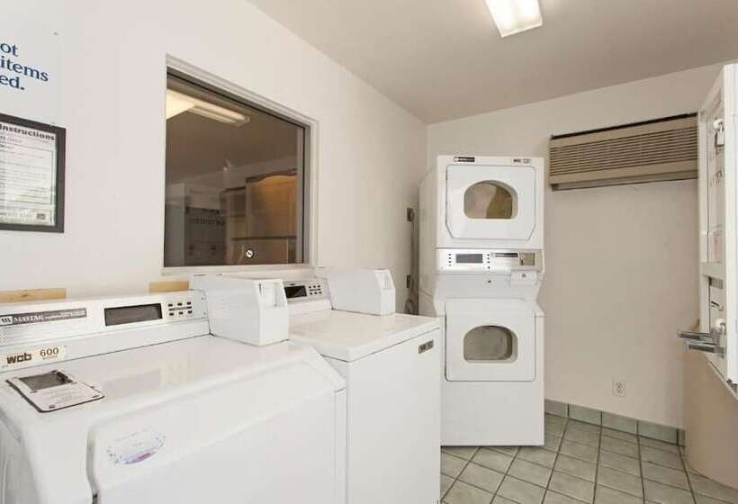 모텔 Hi Wheel Flats