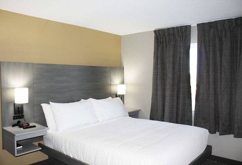 汽车旅馆  Days Inn By Wyndham Stony Plain