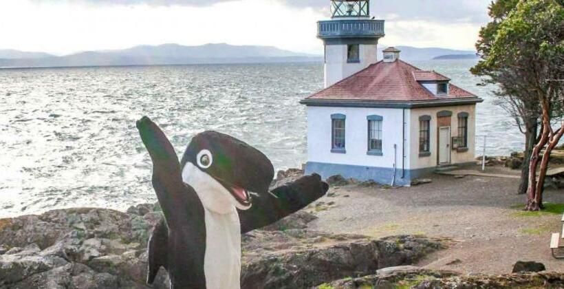 فندق على الطريق The Orca Inn