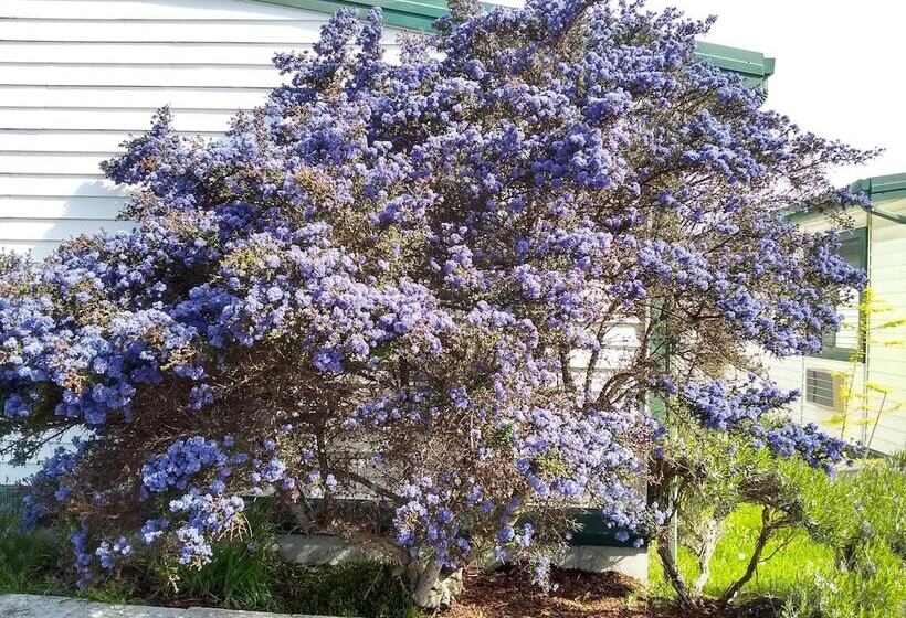 فندق على الطريق The Orca Inn