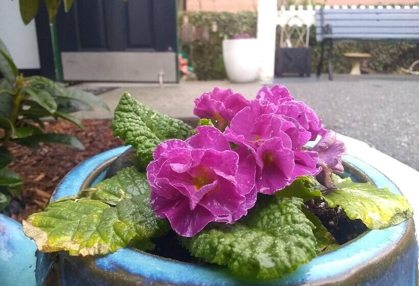 فندق على الطريق The Orca Inn