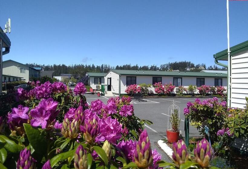 فندق على الطريق The Orca Inn