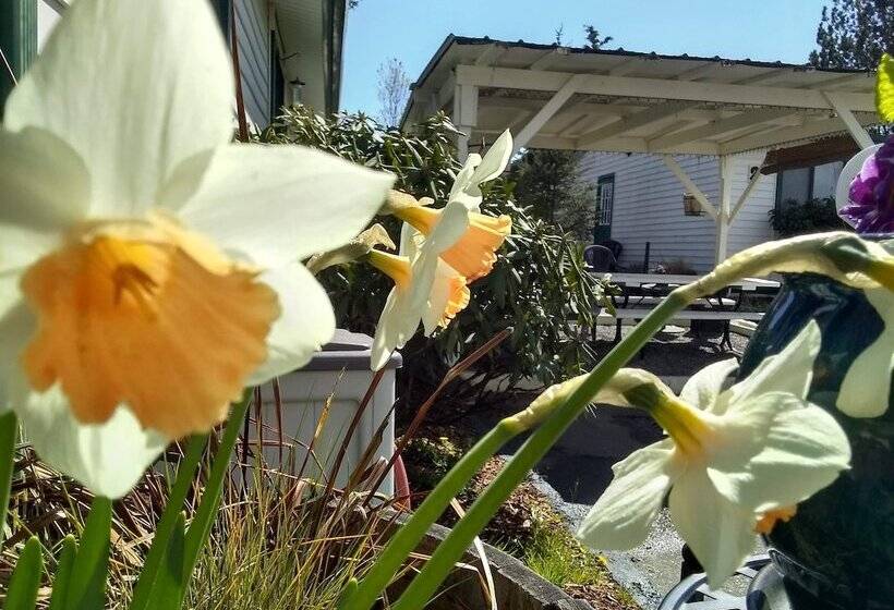 فندق على الطريق The Orca Inn