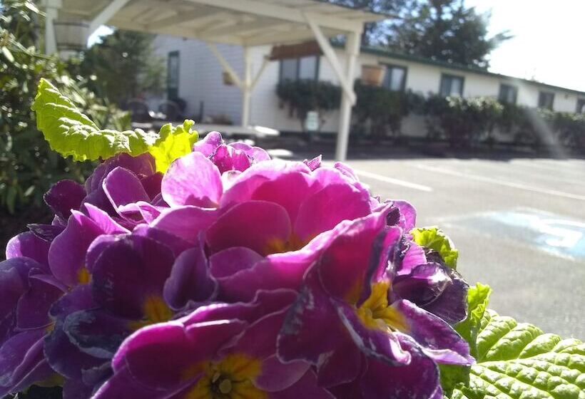 فندق على الطريق The Orca Inn