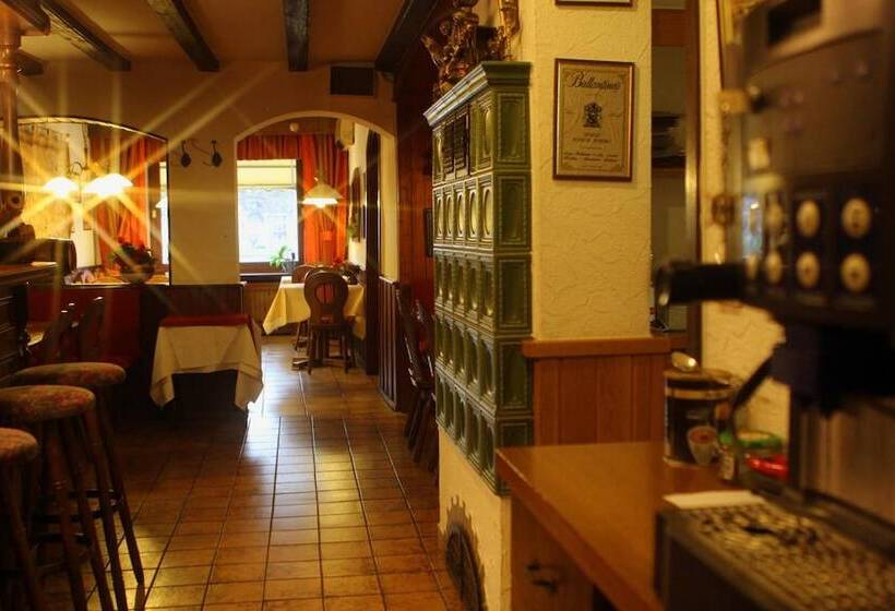 Pohl S Rheinhotel Adler