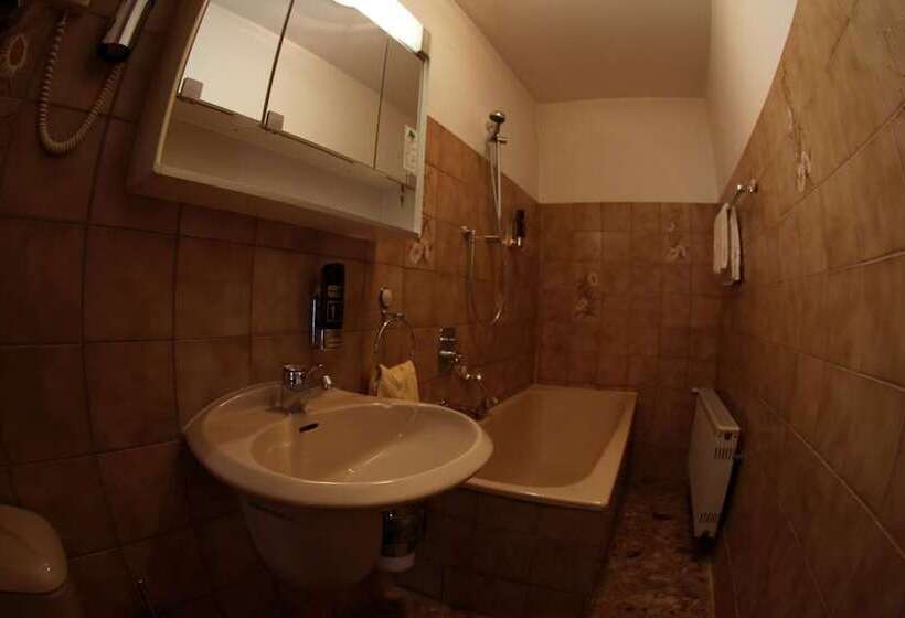 Pohl S Rheinhotel Adler