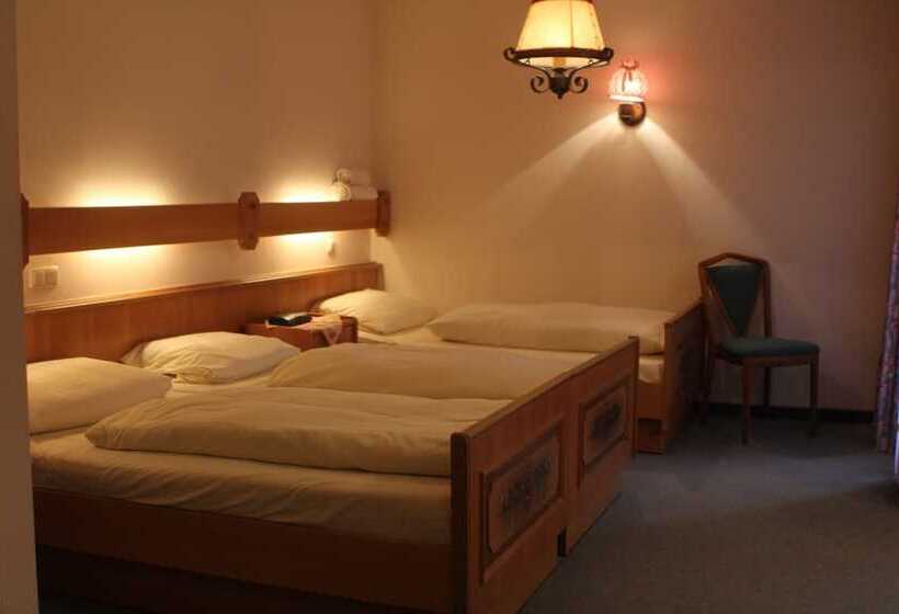 Pohl S Rheinhotel Adler