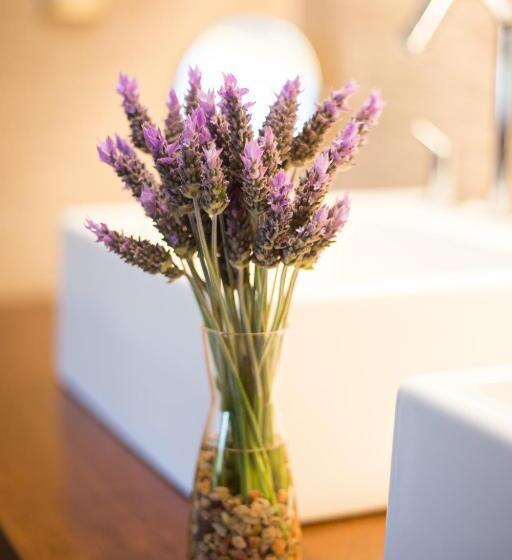 渡假胜地 Grace Cafayate