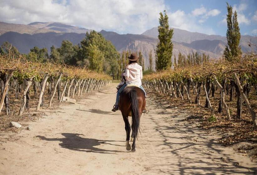 استراحتگاه Grace Cafayate