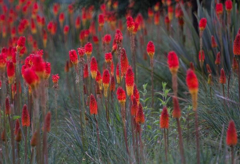 リゾートホテル Monteverde