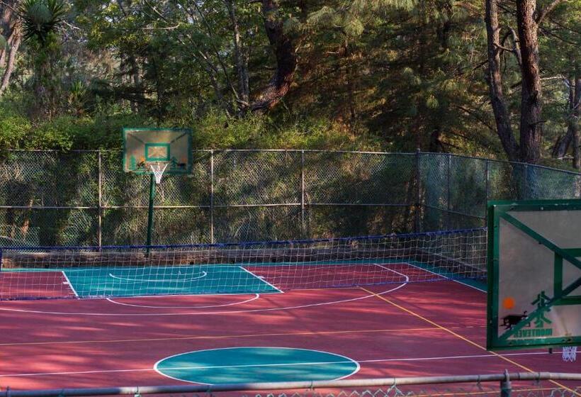 リゾートホテル Monteverde