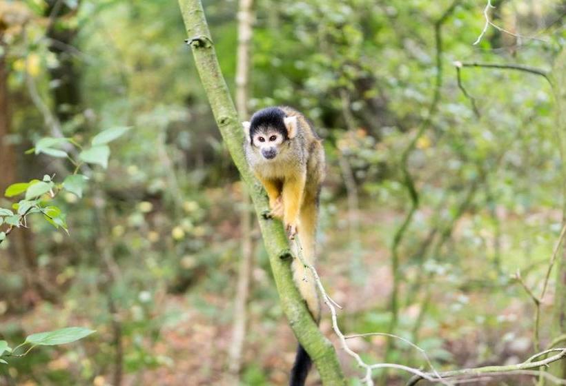 Stayokay Hostel Apeldoorn